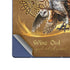 Owl Celtic Knot by Brigid Ashwood Galaxy Z Fold6 Skin