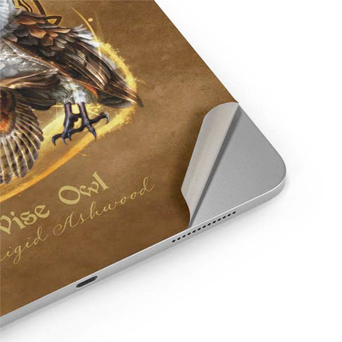 Owl Celtic Knot by Brigid Ashwood iPad Pro 13in M4 (2024) Skin