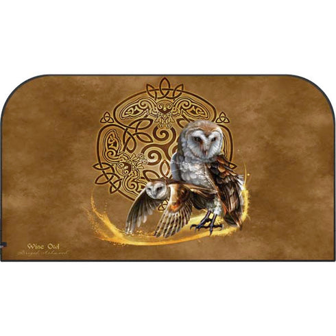 Owl Celtic Knot by Brigid Ashwood Nintendo Switch 2 (2025) with Joy-Con Skin