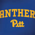 University of Pittsburgh Panthers Pitt Dell Latitude Skin