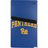 University of Pittsburgh Panthers Pitt PS5 Pro Console Skin