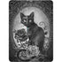 Alchemy Paracelsus - The Philosophers Familiar Apple iPad Air Skin