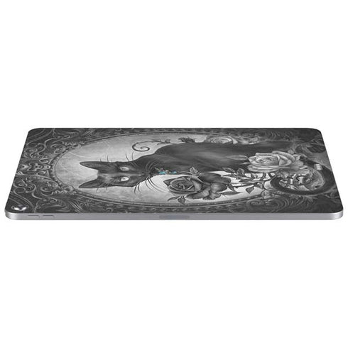Alchemy Paracelsus - The Philosophers Familiar Apple iPad Air Skin