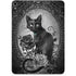 Alchemy Paracelsus - The Philosophers Familiar Apple iPad Pro Skin
