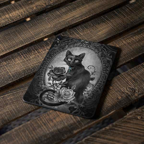 Alchemy Paracelsus - The Philosophers Familiar Apple iPad Pro Skin