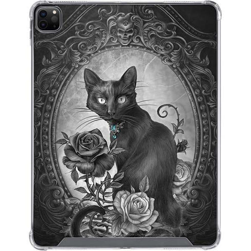 Alchemy Paracelsus - The Philosophers Familiar iPad Cases