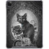 Alchemy Paracelsus - The Philosophers Familiar iPad Cases