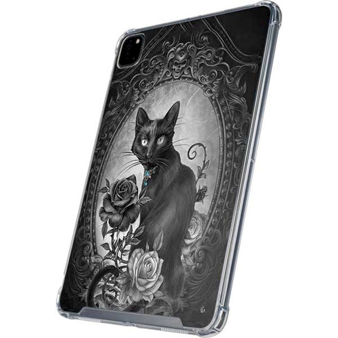 Alchemy Paracelsus - The Philosophers Familiar iPad Cases