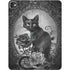 Alchemy Paracelsus - The Philosophers Familiar iPad Pro 13in M4 (2024) Skin