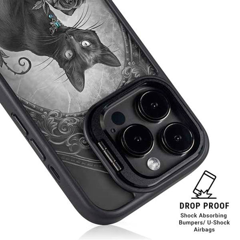 Alchemy Paracelsus - The Philosophers Familiar iPhone 15 Pro Kickstand Case