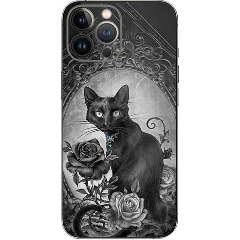 Alchemy Paracelsus - The Philosophers Familiar iPhone 15 Pro Max Skin