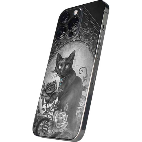 Alchemy Paracelsus - The Philosophers Familiar iPhone 15 Pro Max Skin