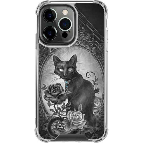 Alchemy Paracelsus - The Philosophers Familiar iPhone 16 Pro Max Clear Case