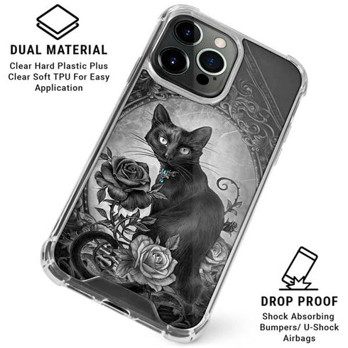 Alchemy Paracelsus - The Philosophers Familiar iPhone 16 Pro Max Clear Case