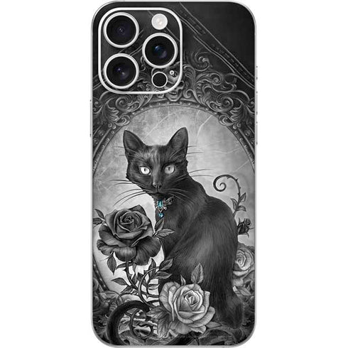 Alchemy Paracelsus - The Philosophers Familiar iPhone 16 Pro Max Skin