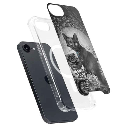 Alchemy Paracelsus - The Philosophers Familiar iPhone 16e MagSafe Case