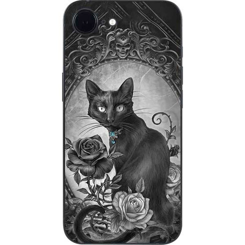 Alchemy Paracelsus - The Philosophers Familiar iPhone 16e Skin