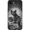 Alchemy Paracelsus - The Philosophers Familiar iPhone 16e Skin
