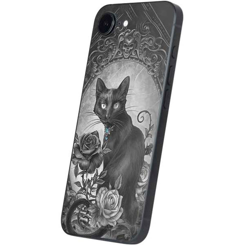 Alchemy Paracelsus - The Philosophers Familiar iPhone 16e Skin