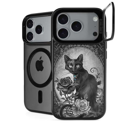 Alchemy Paracelsus - The Philosophers Familiar iPhone 18 Pro Kickstand Case