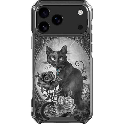 Alchemy Paracelsus - The Philosophers Familiar iPhone 18 Pro Max Clear Case