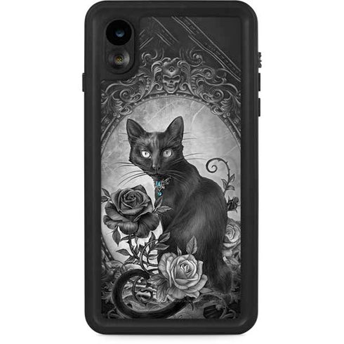 Alchemy Paracelsus - The Philosophers Familiar iPhone Cases