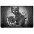 Alchemy Paracelsus - The Philosophers Familiar Dell Latitude Skin