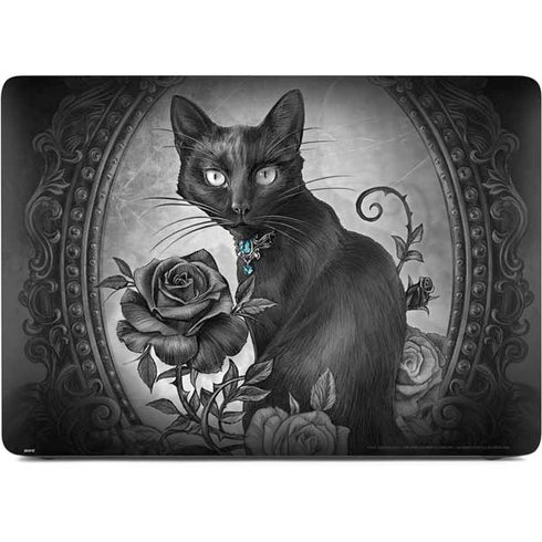 Alchemy Paracelsus - The Philosophers Familiar Apple MacBook Air Skin