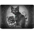 Alchemy Paracelsus - The Philosophers Familiar Apple MacBook Air Skin