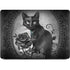 Alchemy Paracelsus - The Philosophers Familiar Apple MacBook Pro 16-inch Skin