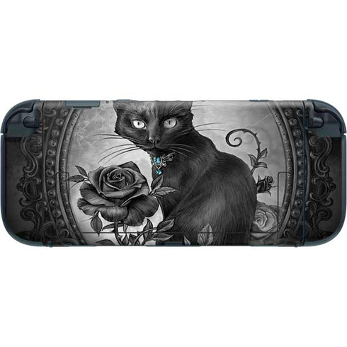 Alchemy Paracelsus - The Philosophers Familiar Nintendo Switch 2 (2025) with Joy-Con Skin