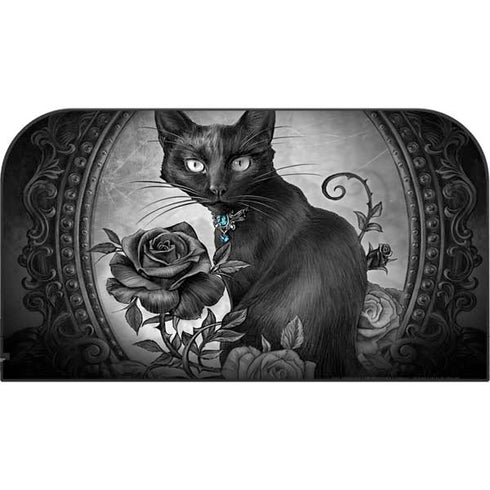 Alchemy Paracelsus - The Philosophers Familiar Nintendo Switch 2 (2025) with Joy-Con Skin