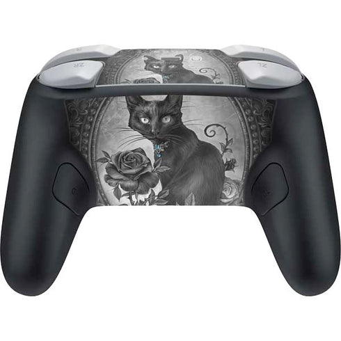 Alchemy Paracelsus - The Philosophers Familiar Nintendo Switch 2 (2025) Pro Controller Skin