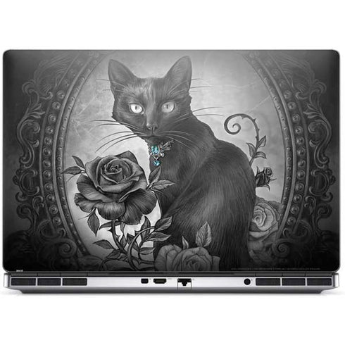 Alchemy Paracelsus - The Philosophers Familiar Dell Precision Skin