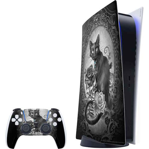 Alchemy Paracelsus - The Philosophers Familiar PlayStation PS5 Skins