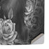 Alchemy Paracelsus - The Philosophers Familiar PS5 Pro Console Skin