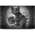 Alchemy Paracelsus - The Philosophers Familiar Dell XPS Skin