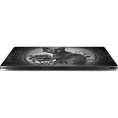 Alchemy Paracelsus - The Philosophers Familiar Dell XPS Skin