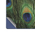 Peacock Galaxy Z Fold6 Skin