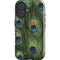 Peacock iPhone 16 Plus Impact Case
