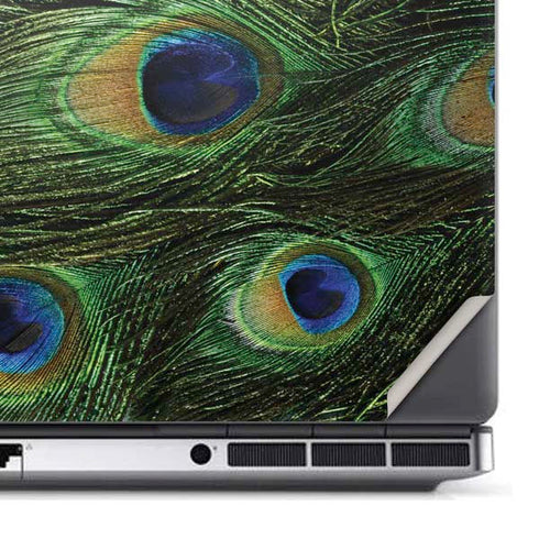 Peacock Dell Precision Skin