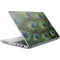 Peacock HP ZBook Fury 16 G10 Skin
