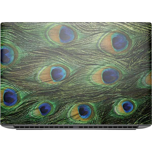 Peacock HP ZBook Fury 16 G10 Skin