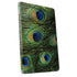 Peacock Apple iPad Skin