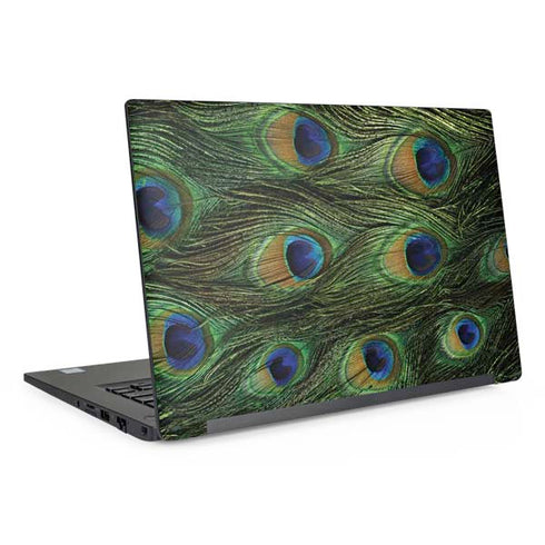 Peacock Dell Latitude Skin