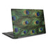 Peacock Dell Latitude Skin