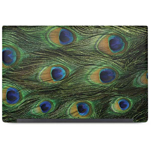 Peacock Dell Latitude Skin