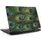 Peacock Legion Y720 Skin