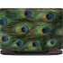 Peacock Legion Y720 Skin