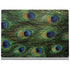 Peacock Surface Book 2 15in Skin